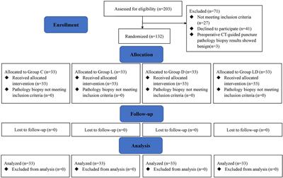 Perioperative lidocaine and dexmedetomidine intravenous infusion reduce the serum levels of NETs and biomarkers of tumor metastasis in lung cancer patients: A prospective, single-center, double-blinded, randomized clinical trial